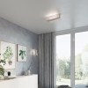 Fali lámpa FENIKS 1 természetes fa 1x60W E27 Sollux Lighting