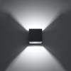 Fali lámpa QUAD 1 antracit 1x40W G9 Sollux Lighting