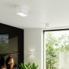 Fali lámpa LOBO fehér 1x40W G9 Sollux Lighting