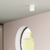 Fali lámpa INEZ fehér 1x40W G9 Sollux Lighting 1x40W G9