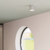 Fali lámpa INEZ szürke 1x40W G9 Sollux Lighting