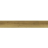 SPC PRESTIGE L Foxy vinil padlólemez