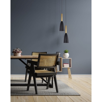 SOLIN függőlámpa fekete-arany 1x60W E27 Light Prestige fény